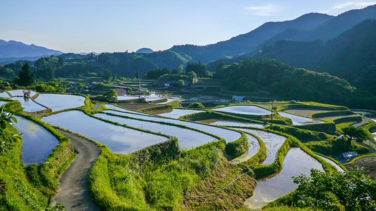 Implementing Nature Positive through Landscape Approaches | United